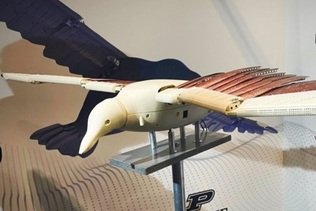 DroneX exhibition